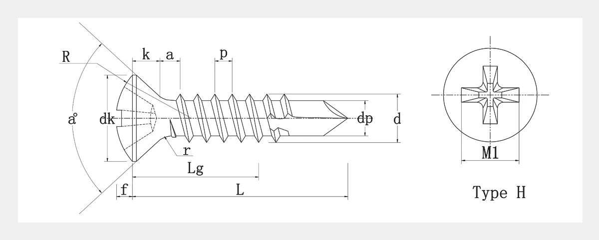 Galvanized Tek Screws-DIN 7504 (Q)-2D
